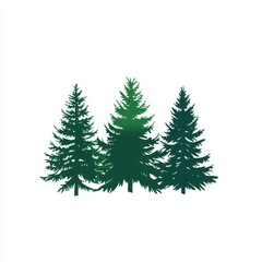 Fototapeta premium Three evergreen trees silhouetted against a white background, showcasing their varying heights and shapes.