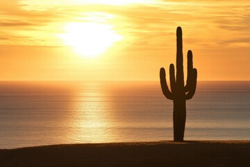 Silhouette of a saguaro cactus at sunset over a calm ocean, a serene desert scene.