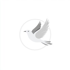 Obraz premium A graceful gray bird in mid-flight against a white background, symbolizing freedom and peace.