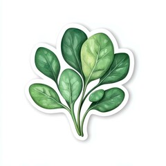 Bright green spinach leaf sticker, perfect for adding a touch of nature to your planner or decor. Ideal for food lovers