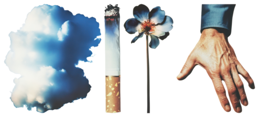 PNG Surreal juxtaposition nature elements, element set on transparent background