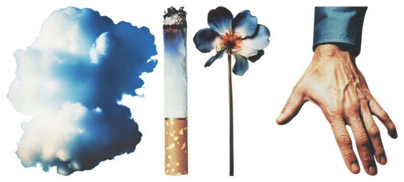 PNG Surreal juxtaposition nature elements, element set on transparent background