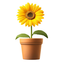 Obraz premium Beautiful yellow sunflower in terracotta pot