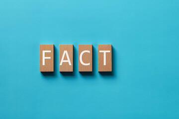 There is wood block with the word FACT. It is as an eye-catching image.