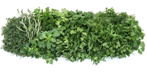Obraz premium Fresh Herb Medley