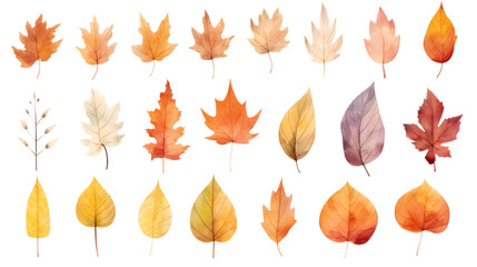 Obraz premium Vibrant Autumn Leaves Collection on Clean White Background for Seasonal Designs