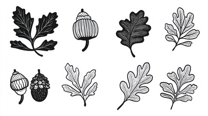 Obraz premium Autumn oak leaves and acorns collection; nature illustration