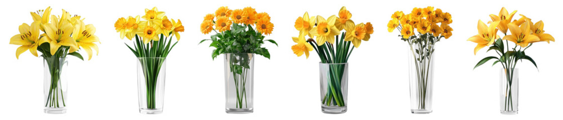 PNG Vibrant yellow floral arrangements, element set on transparent background