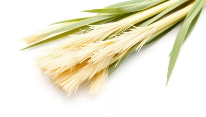 Pasta Noodles and Green Grass Isolated on White Screen Background Ideal for Culinary and Freshness Concepts Advertisement Backdrop