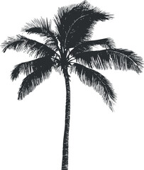 Black silhouette of a tall palm tree with detailed tropical leaves isolated on white background