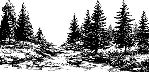 A Serene Forest Scene with Evergreen Trees and a Winding River in Detailed Black and White Ink Drawing