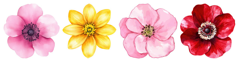 PNG Vibrant watercolor floral collection, element set on transparent background