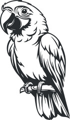 Fototapeta premium Black and white detailed illustration of a parrot perched on a branch, showing feathers and beak