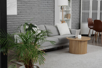 Interior of studio apartment with sofa, table and shelf unit