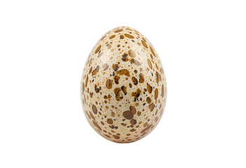 Single Speckled Quail Egg Isolated on White for Food and Delicacy Concepts: Natural Patterned Egg Imagery: Quail, Egg, Isolated, White, Speckled, Food, Delicacy, Natural, Pattern.
