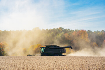 Obraz premium Autumn harvest. Fields with harvest wheat. Combine harvester in a wheat field. Harvest on rural farm. Combine harvester machinery. Farming Combine harvester at work. Rural landscape with a harvest.