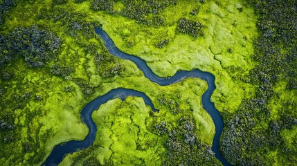 Aerial View of a Lush Green Landscape with Winding River