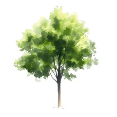 Green tree silhouette nature backdrop organic image