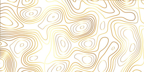 Topographic canyon geometric map relief texture with curved layers and shadow .Abstract geometric topographic contour map background. Panorama view gradient multicolor wave curve .	
