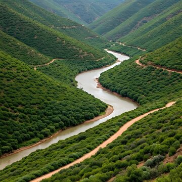 Oued Zitoun&rsquo;s Green Valley