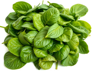 Fototapeta premium Fresh bunch of green spinach leaves isolated on white background. Generative AI