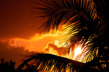 Vibrantly colored sunset sky in shades of orange and gold with distinct palm tree silhouette foreground