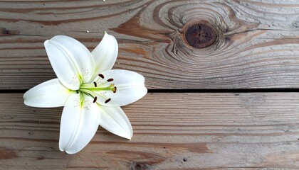 Naklejka premium 柔らかな木目の質感が背景に広がり、白いユリの花がさりげなく置かれた清潔感溢れる6月の風景