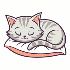 cat on a pillow