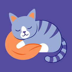 cat on a pillow 