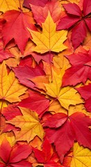 Autumn's Ember Glow AI Generated