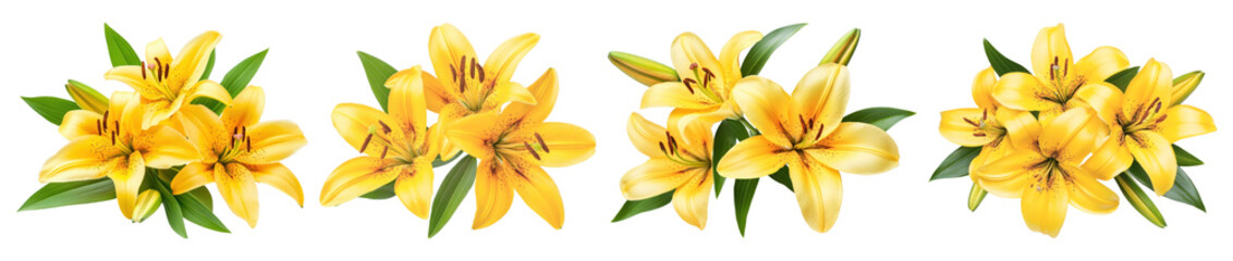 PNG Vibrant yellow lilies arrangement, element set on transparent background