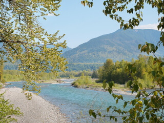 Naklejka premium Chilliwack River as seen from the Vedder Rotary Trail North during a spring season in Chilliwack, Fraser Valley, British Columbia, Canada