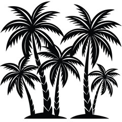 Palm trees isolated on white background