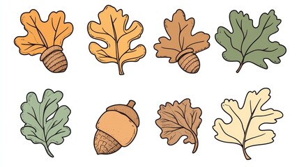 Autumn oak leaves and acorns illustration, fall design element
