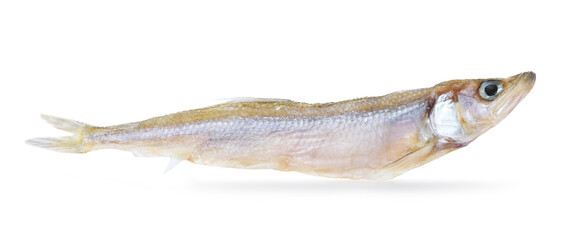 One dried salted smelt fish isolated on white