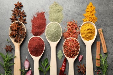 Many different spices in spoons on grey table, flat lay