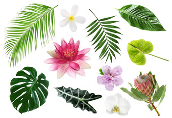 Different tropical leaves and flowers on white background, set