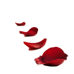 Stacked red petals close up photography