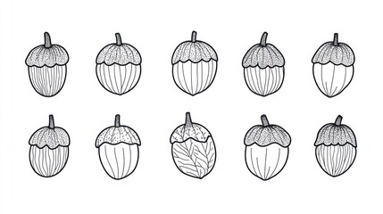 Hazelnut illustrations, various stages, white background, food design