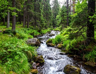 Obraz premium titled