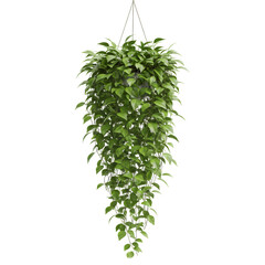 透明背景に吊り下げられた鮮やかな緑の葉を持つ観葉植物の美しい描写
