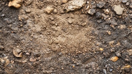 Use this wet soil and rock texture for backgrounds in your designs now