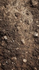 Soil Texture Background Image for Gardening, Agriculture and Construction Projects