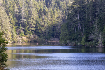 Lake Marie at Umpqua Lighthouse State Park