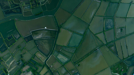 Scenic Aerial View of Rice Field Ready for Planting by the Coast