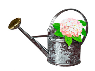 ブリキのジョウロと紫陽花（ピンク）