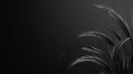 Fototapeta premium Abstract Black and White Feather Art on black background