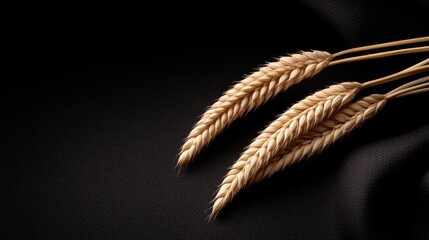 Two wheat stalks on dark fabric