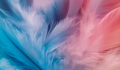Obraz premium Stunning background of delicate pastel feathers in blue and pink, creating a soft, calming atmosphere.