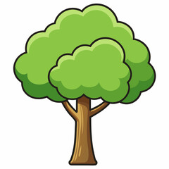 green tree isolated on white